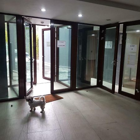 Apartment Poiana Brasov Ngoại thất bức ảnh