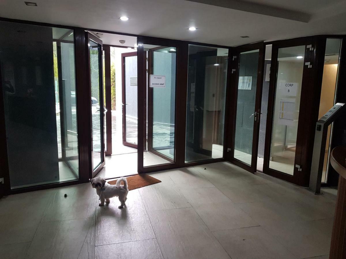 Apartment Poiana Brasov Ngoại thất bức ảnh
